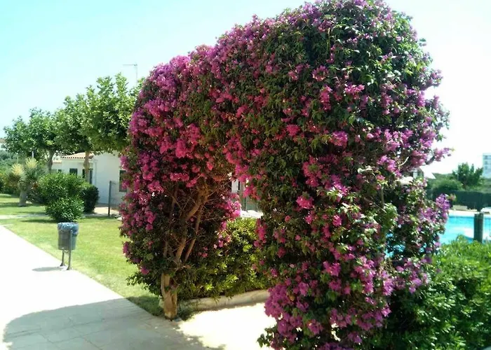 Calan Blanes Con Piscina Ciutadella (Menorca)
