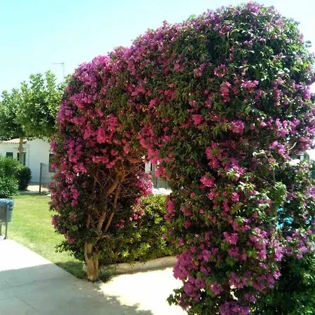 Calan Blanes Con Piscina ثيوداديلا